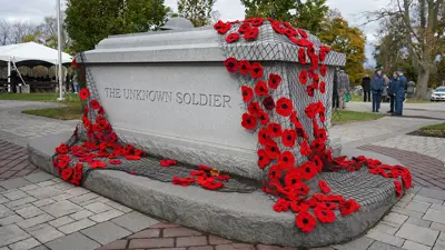 The Tomb of the Unknown soldier covered in a net of poppies for a Remembrance Day ceremony.