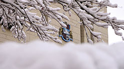 City Hall and crest with snow covered branch