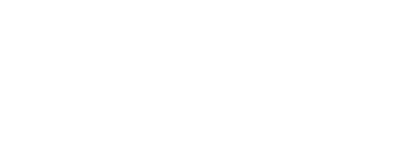 Niagara Falls Logo