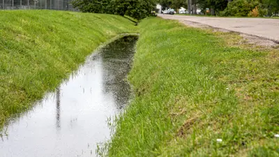 Water drainage ditch along rural roadside after rain with green grass and shallow water.